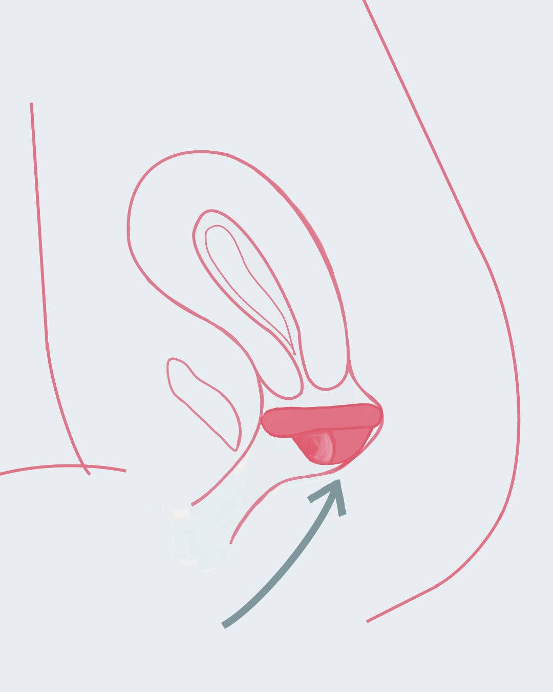 Disque menstruel Rayne - Baume Shop