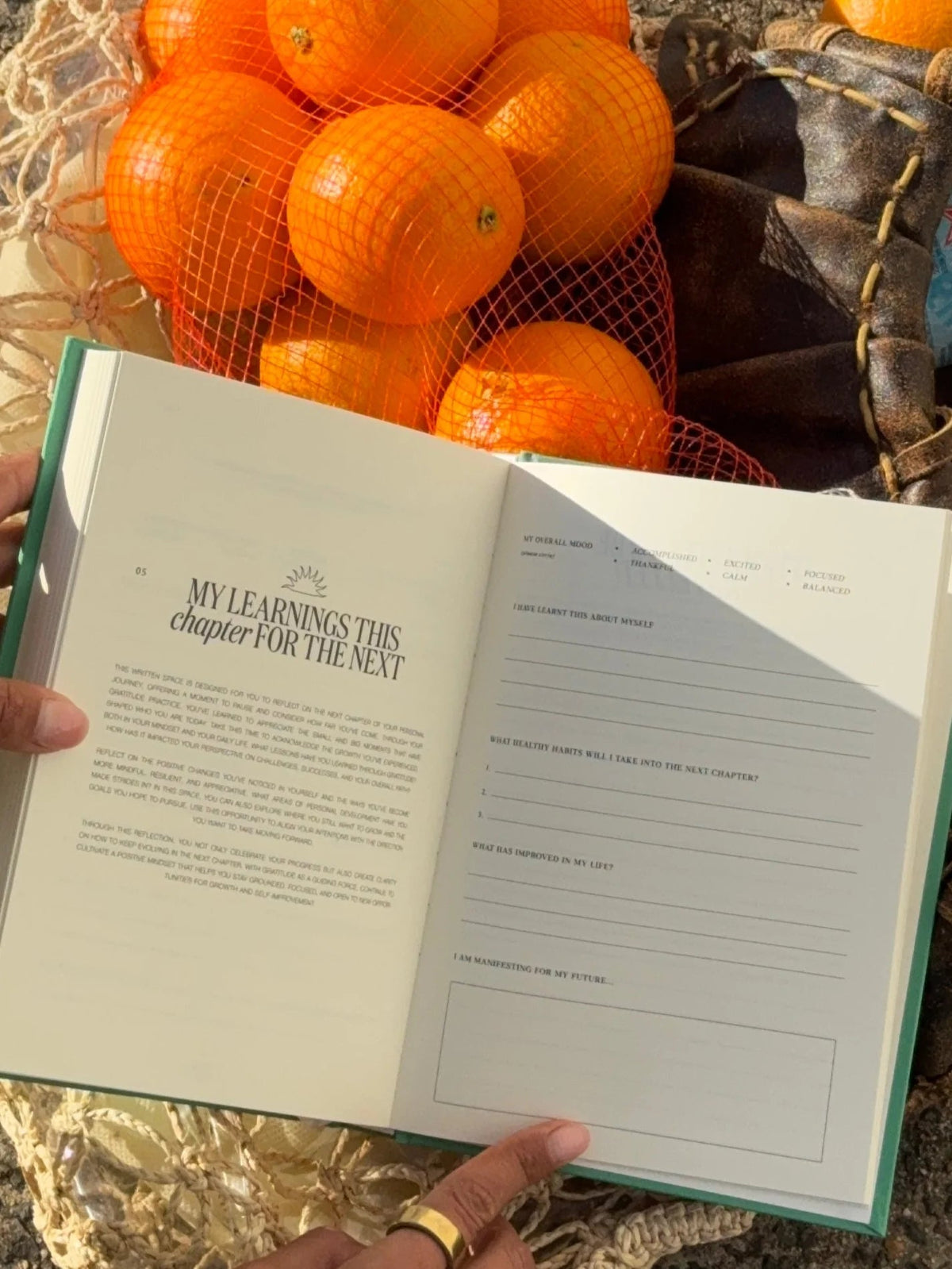 Gratitude Journal – Journal de gratitude guidé lin – Selfdom - Baume Shop