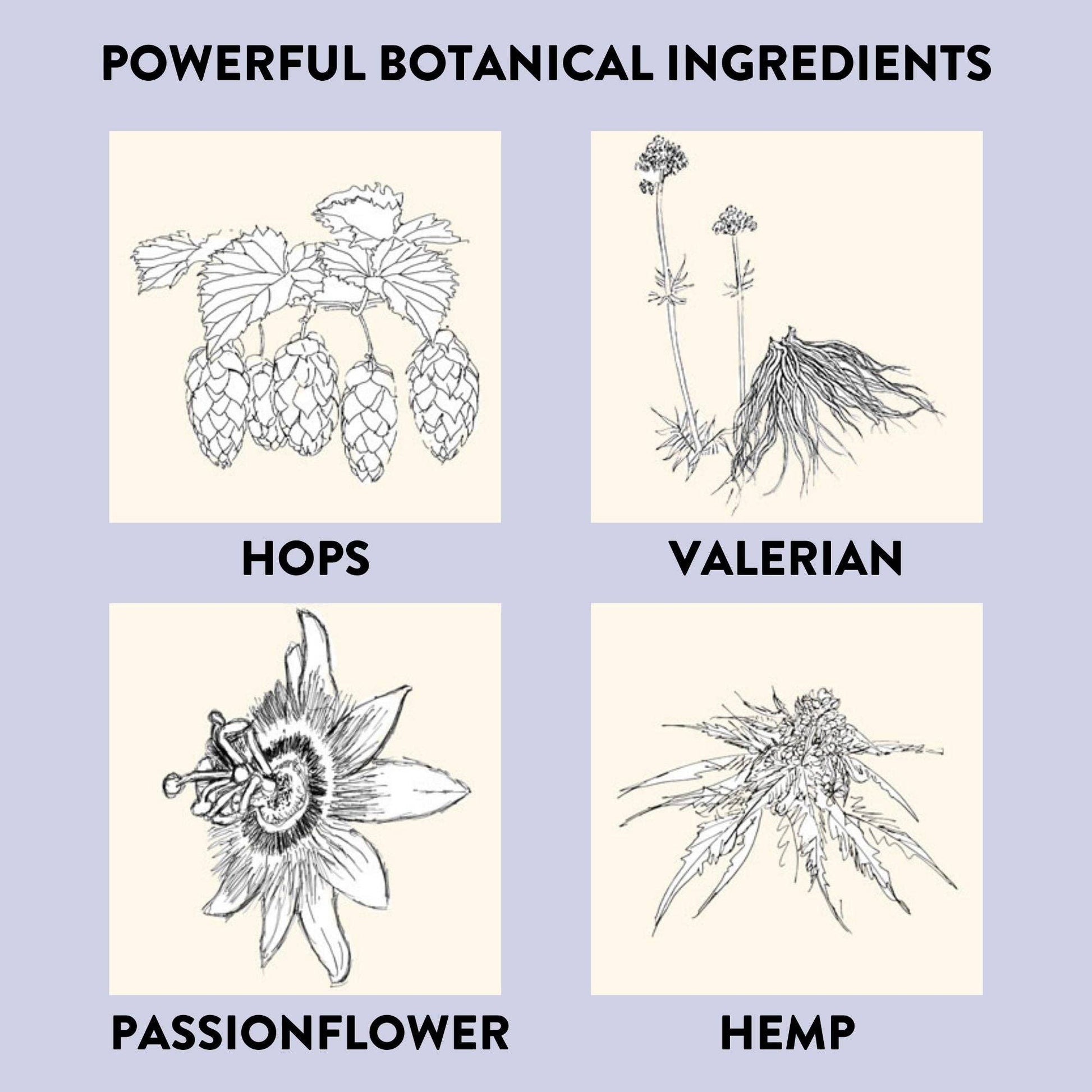 Sleep Time – Patches sommeil CBD, CBG & plantes – KLORIS - Baume Shop